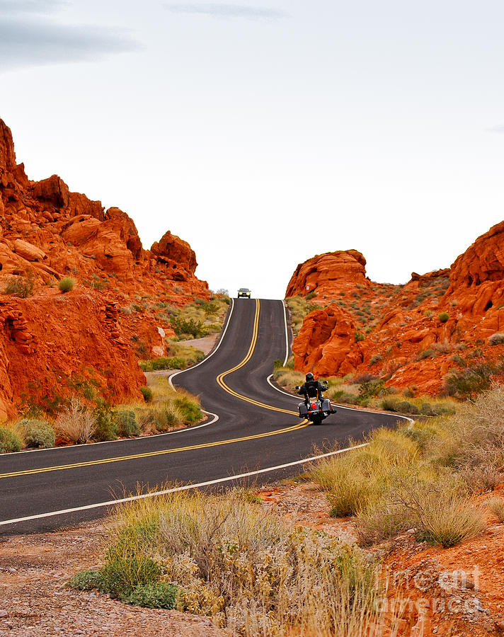 Driving in Valley Of Fire - Vertical Photograph by Les Palenik