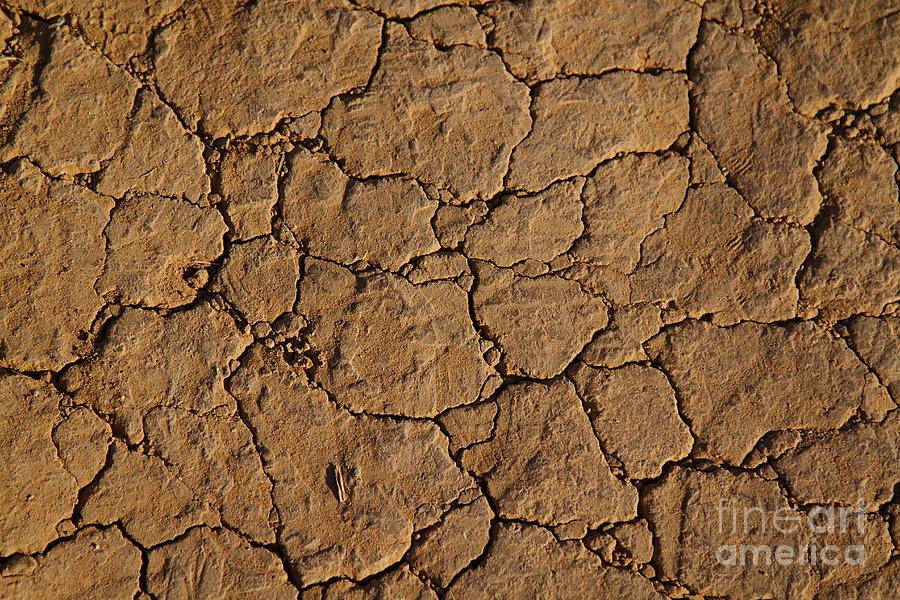 Dry cracked earth and dirt with grains of sand #1 Photograph by ELITE IMAGE photography By Chad McDermott