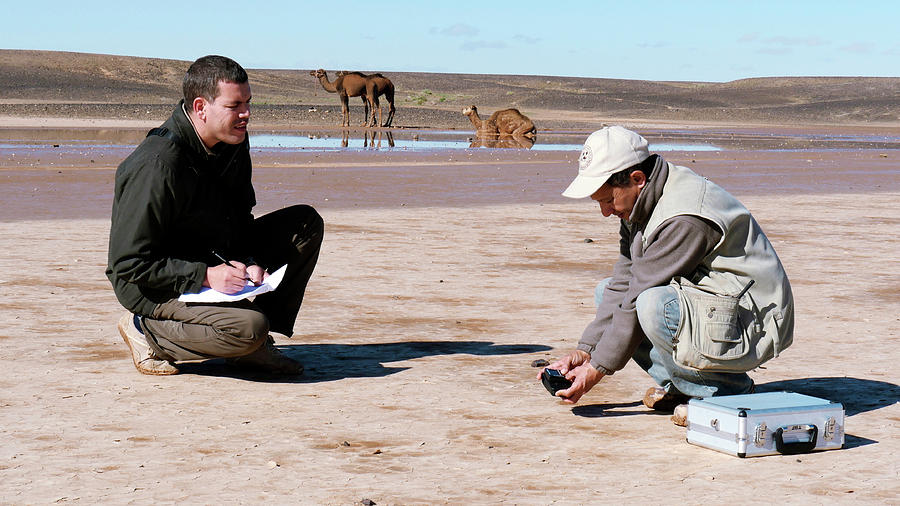 Animal Photograph - Drying Saharan Lake #1 by Thierry Berrod, Mona Lisa Production