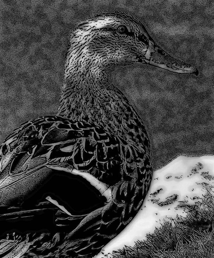 Duck Art Tribal Mallard BW II #1 Mixed Media by Lesa Fine
