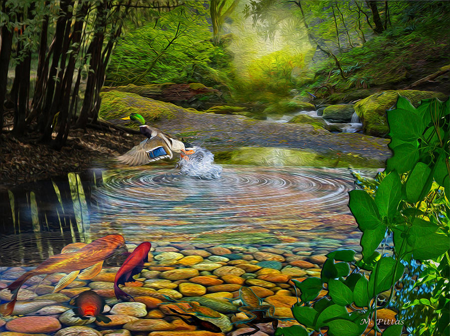 Duck Pond #1 Digital Art by Michael Pittas