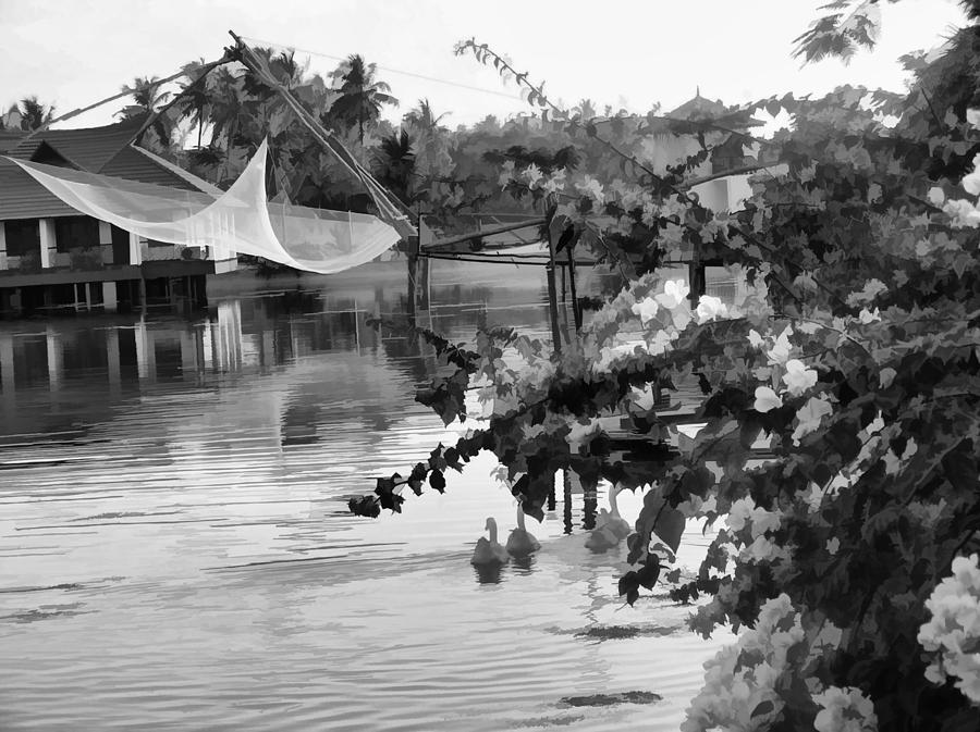 Ducks and flowers in lagoon water #1 Digital Art by Ashish Agarwal