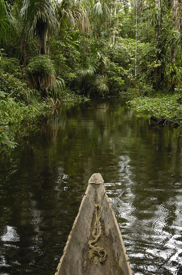 Dugout Canoe In Blackwater Stream #1 Photograph by Pete Oxford
