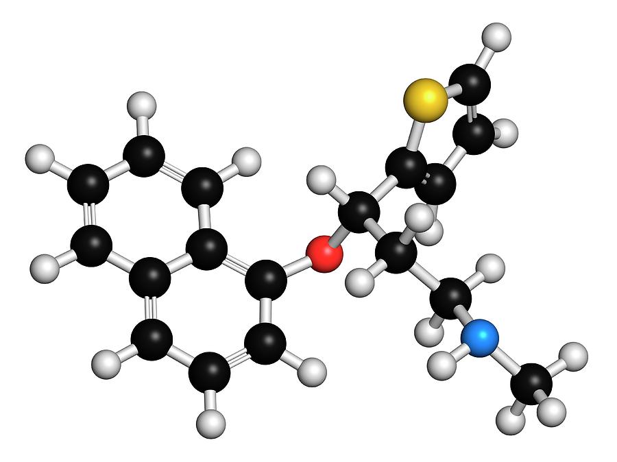 Duloxetine Photograph - Duloxetine Antidepressant Drug Molecule #1 by Molekuul