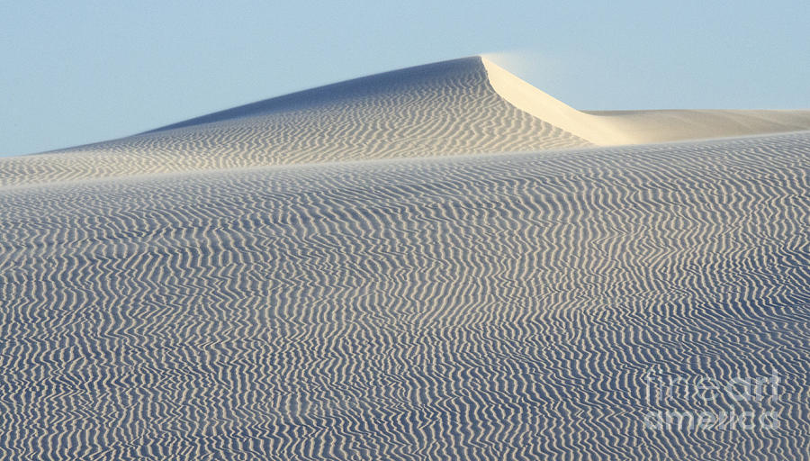Nature Photograph - Dune #2 by Bob Christopher