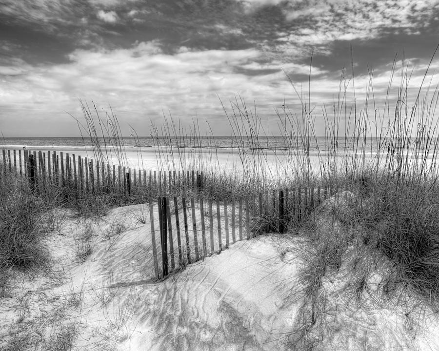 Dune Fences Photograph by Debra and Dave Vanderlaan
