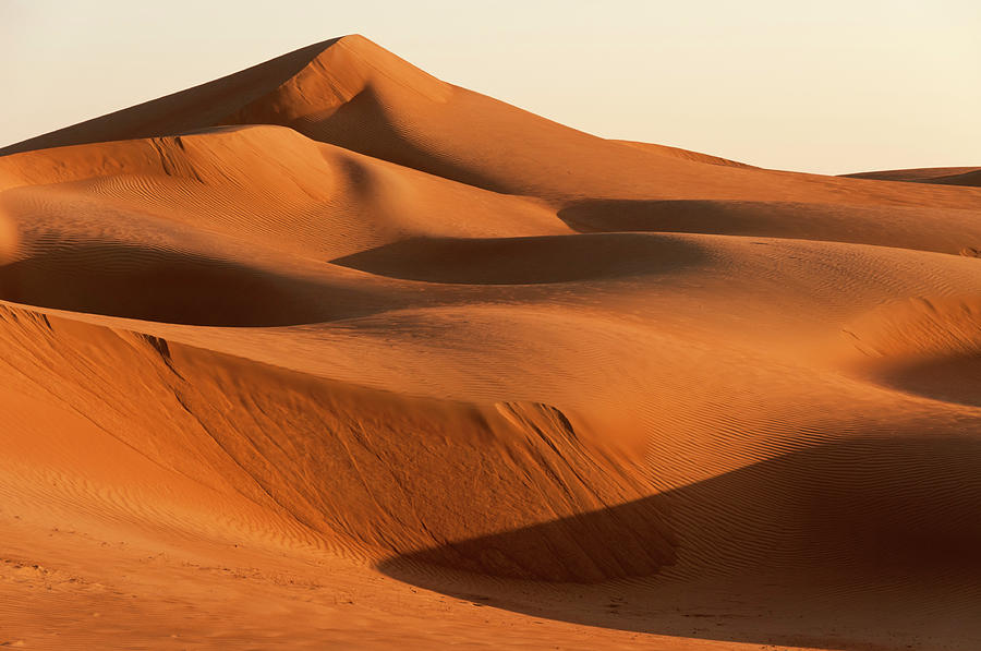 Dune Landscape #1 Photograph by John Elk