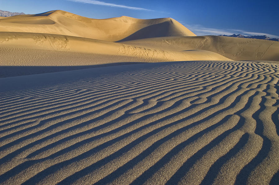 Dune Walker Photograph by Jim Dollar