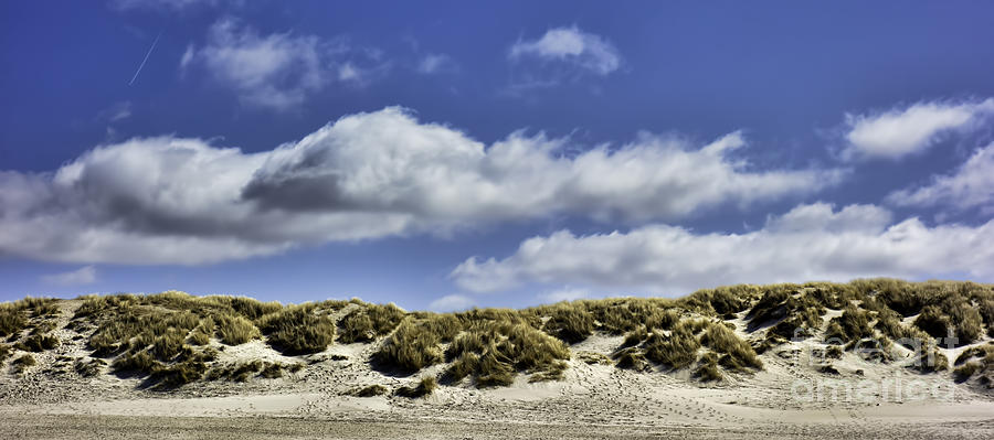 Dunes at the Danish North Sea coast Photograph by Frank Bach - Fine Art ...