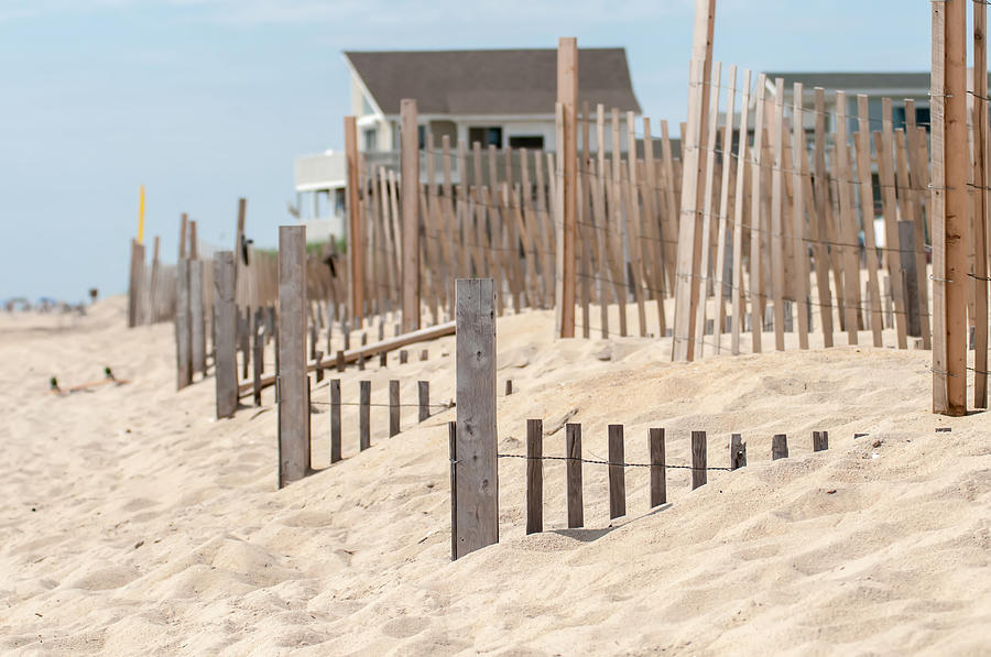 Dunes Fencing Along Outer Banks Of North Carolina In Cape Hatter Photograph