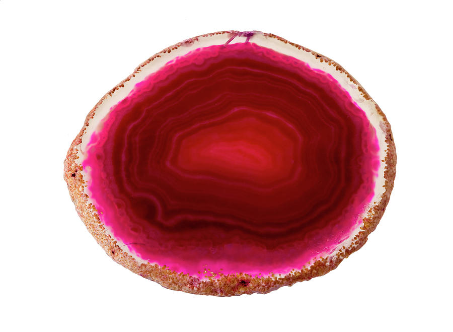 Dyed Agate Slice #1 Photograph by Natural History Museum, London/science Photo Library
