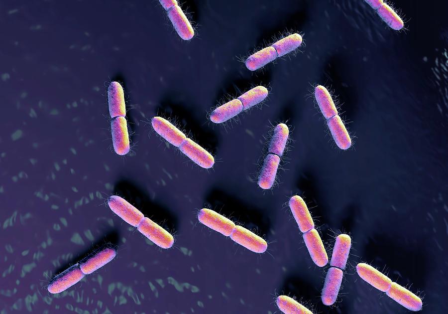 3 Dimensional Photograph - E. Coli Bacteria #1 by Science Artwork