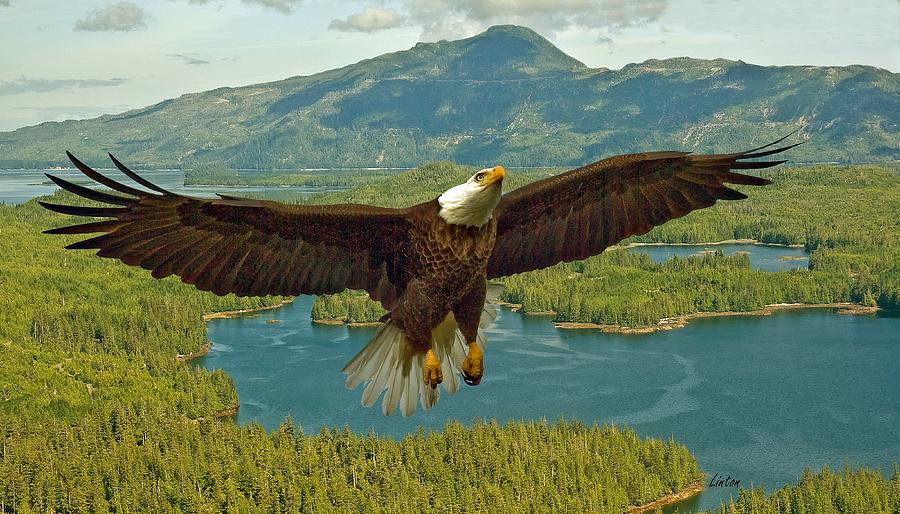 Eagle Flight #1 Photograph by Larry Linton