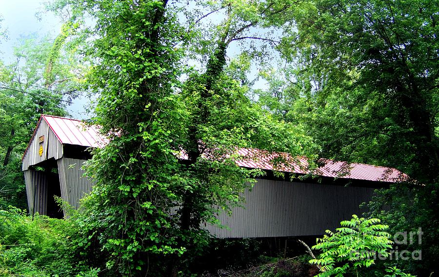 Eakin Mill Covered Bridge #1 Photograph by Charles Robinson