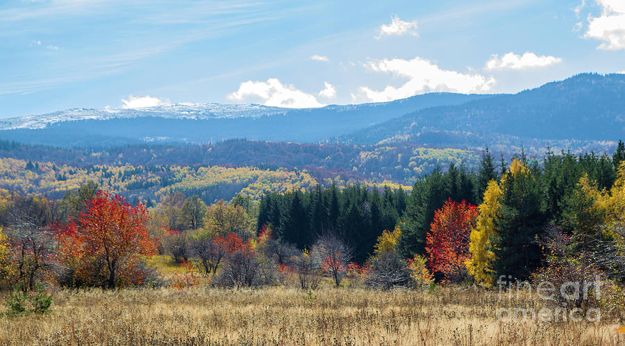 Early Autumn Yellow Red Trees Mountain View #1 Photograph by Jivko Nakev