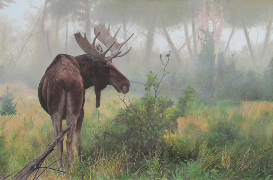 Early Morning Mist Painting by Tammy Taylor