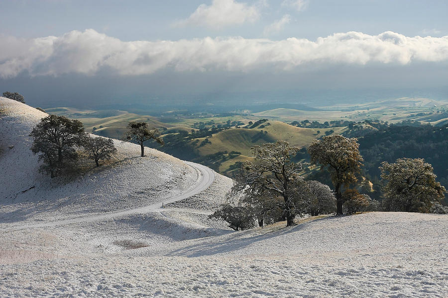 East Bay Snow #1 Photograph by Marc Crumpler