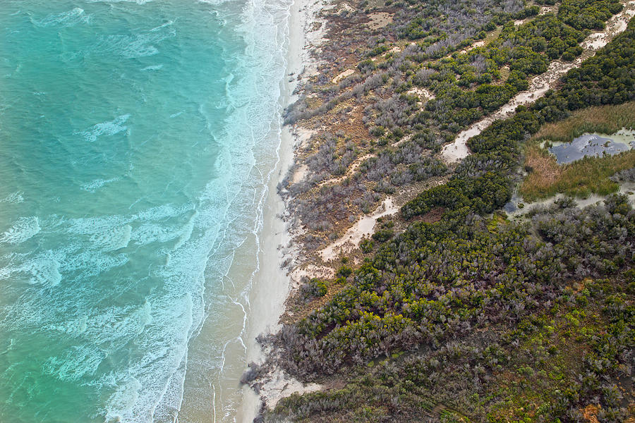 Landscape Photograph - East Coast Aerial Near Jekyll Island #1 by Betsy Knapp