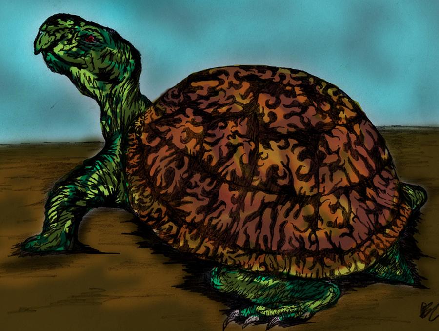 Eastern Box Turtle In Color Digital Art by Daniel Lamb