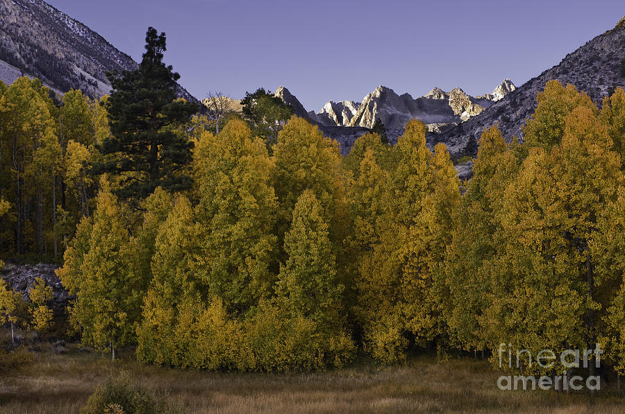 Eastern Sierras In Autumn #1 Photograph by John Shaw