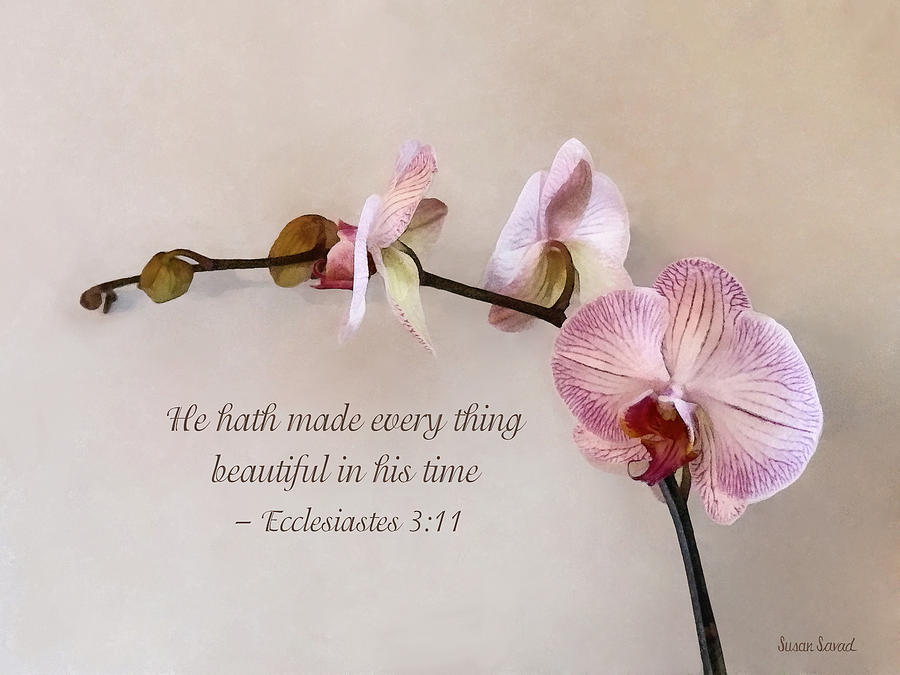 Ecclesiastes 3 11 He Hath Made Everything Beautiful #1 Photograph by Susan Savad