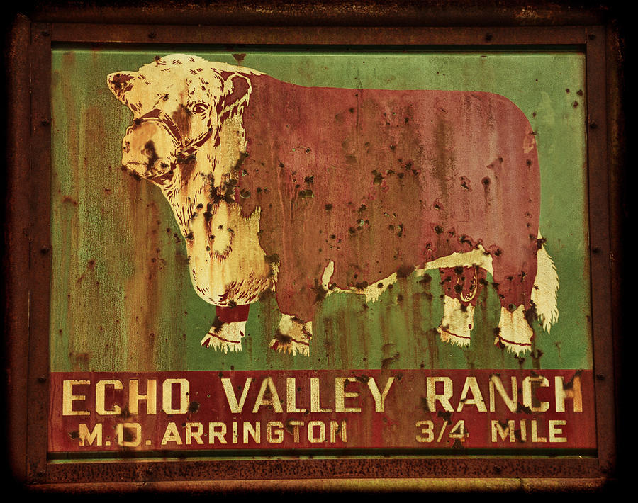 Echo Valley Ranch #1 Photograph by Jeanne May
