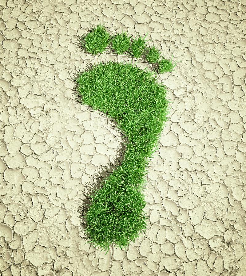 Ecological Footprint Photograph By Andrzej Wojcicki Science Photo 