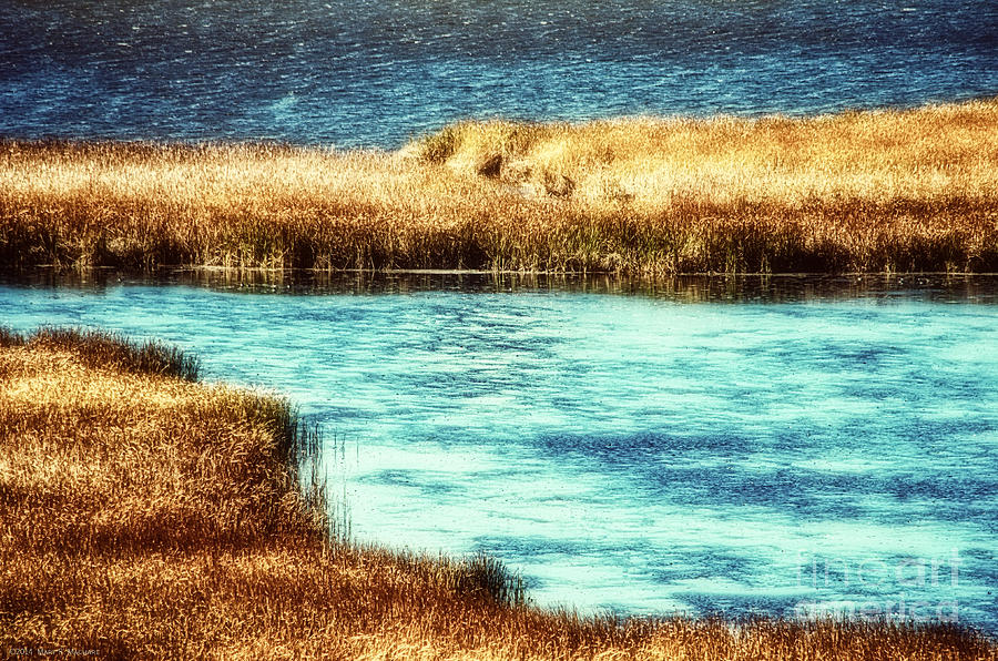 Edge of the Marsh #1 Photograph by Mary Machare