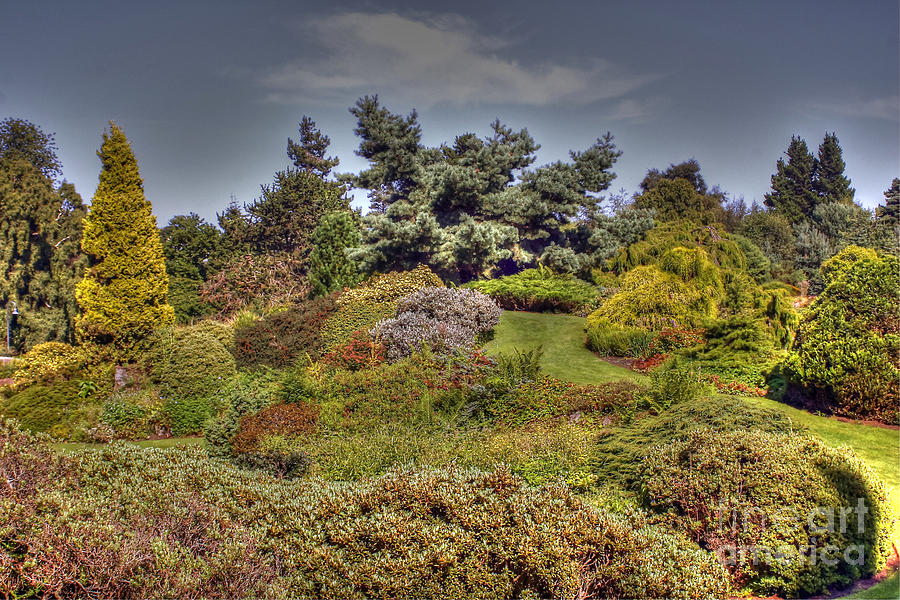 Edinburgh Botanical Gardens #1 Photograph by Rod Jones