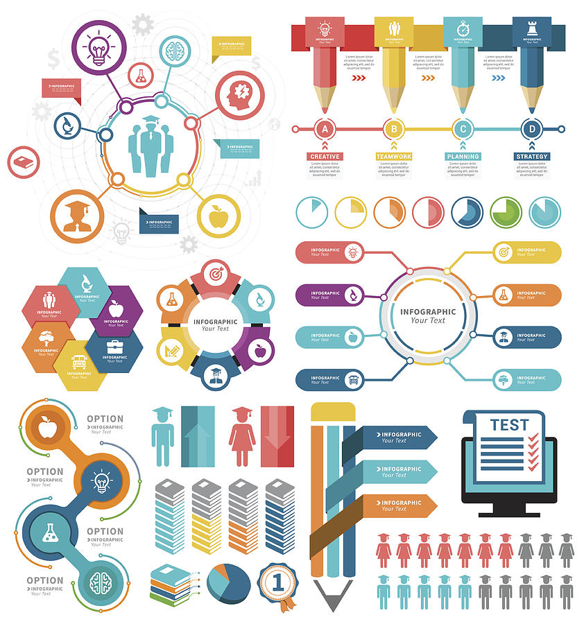Education Infographic Elements #1 Drawing by Artvea