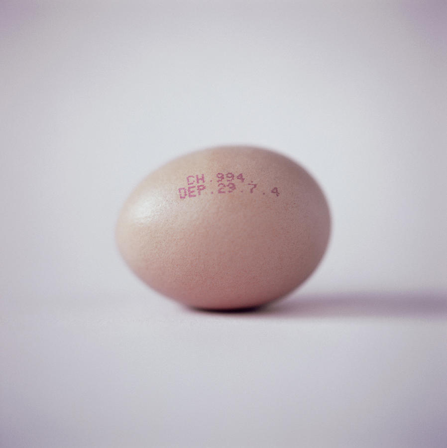 Egg #1 Photograph by Cristina Pedrazzini/science Photo Library