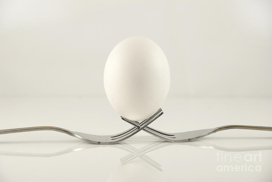 Egg #1 Photograph by Juli Scalzi