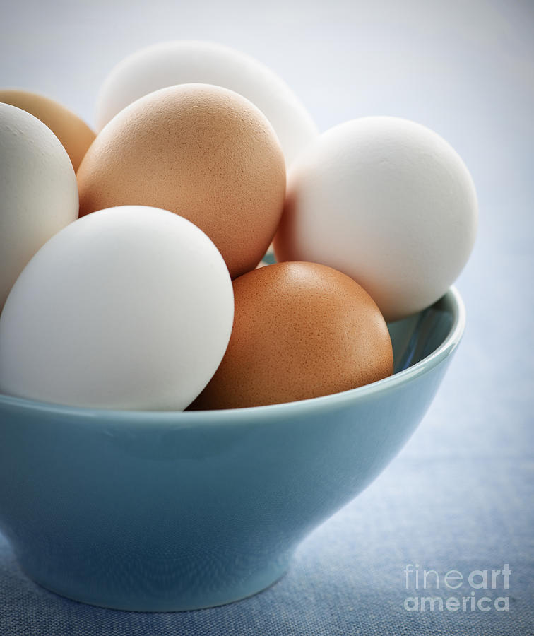 Egg Photograph - Eggs in bowl 1 by Elena Elisseeva