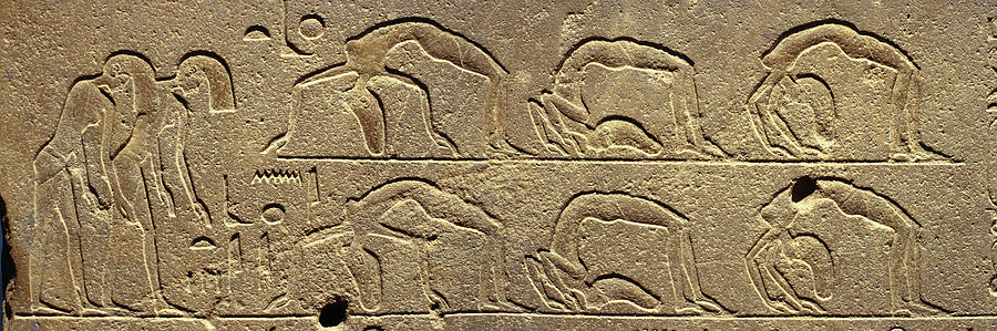 Egyptian Hieroglyphs On The Wall #1 Photograph by Panoramic Images