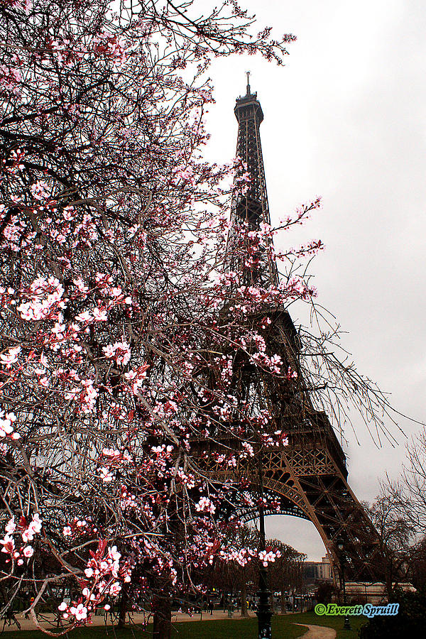 Eiffel Tower 18 #2 Photograph by Everett Spruill