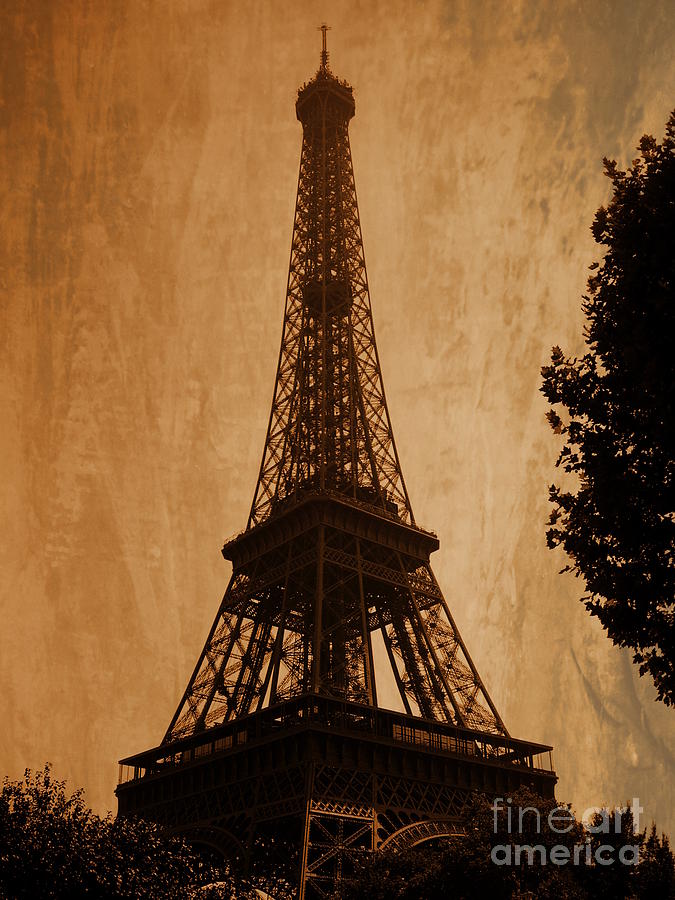 Eiffel Tower #1 Photograph by Andrea Anderegg