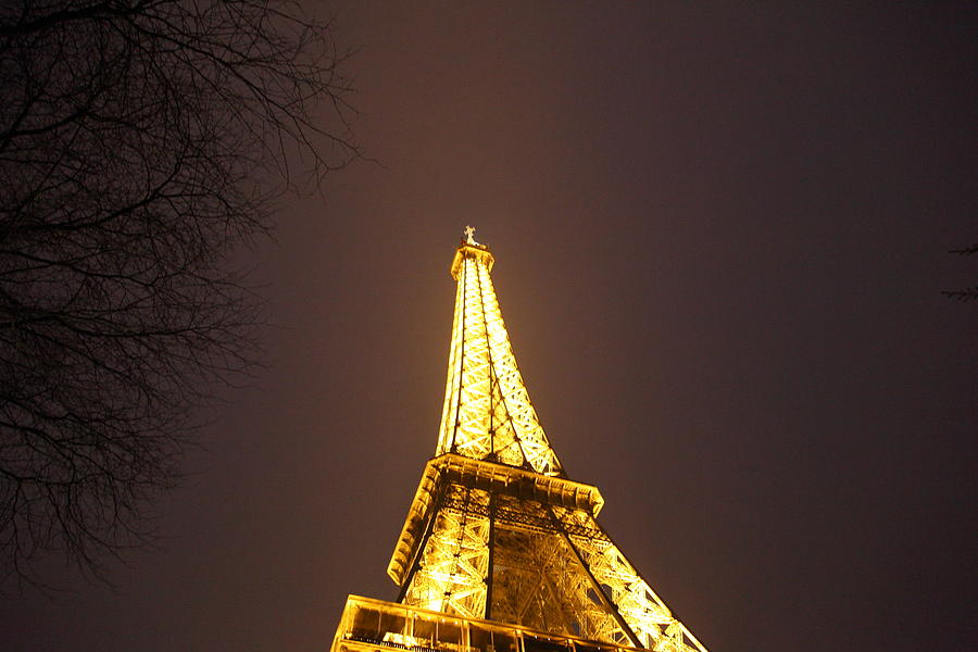 Eiffel Tower - Paris France - 011316 #1 Photograph by DC Photographer
