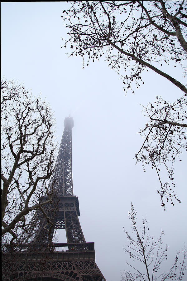 Architecture Photograph - Eiffel Tower - Paris France - 011319 #1 by DC Photographer