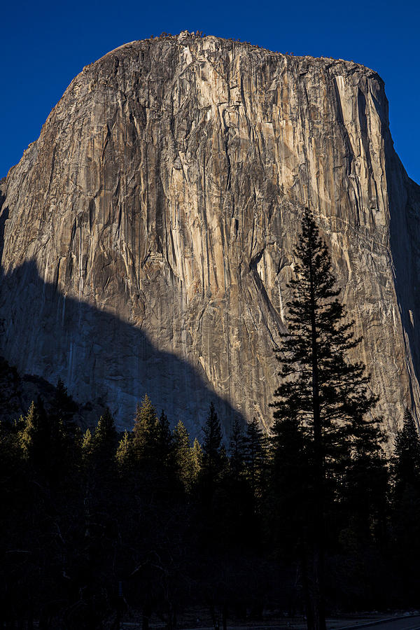 Mountain Photograph - El Capitan  #2 by Garry Gay