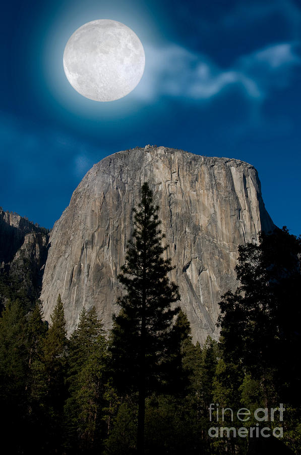 Yosemite National Park Photograph - El Capitan, Yosemite Np #1 by Mark Newman