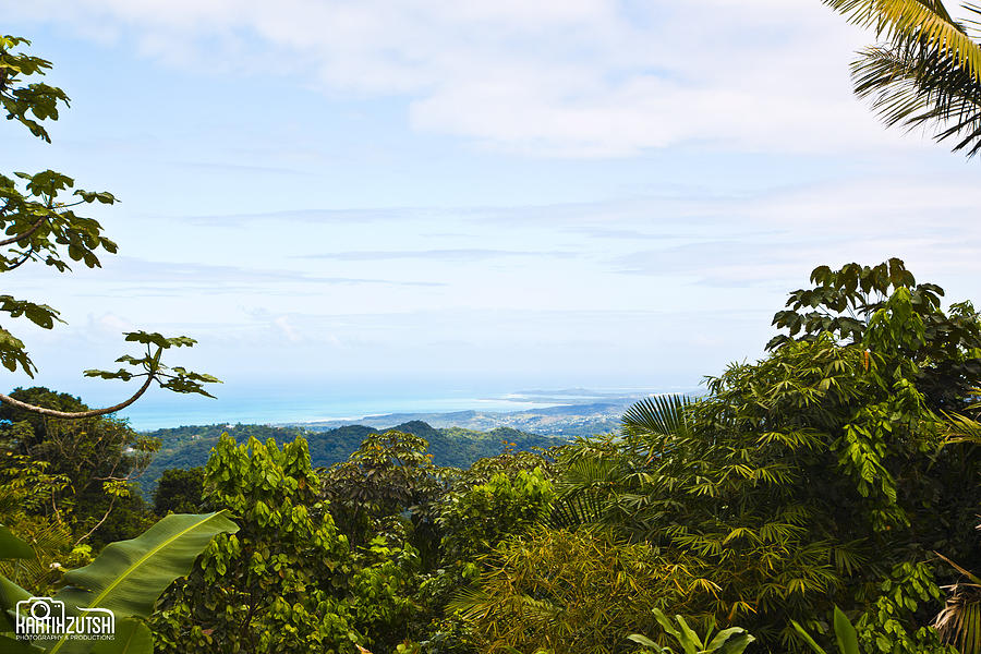 El Yunque rain forest Photograph by Kartik Zutshi - Fine Art America