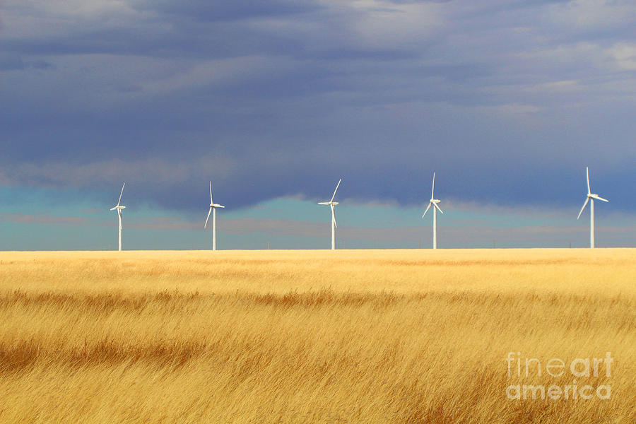 Electric Wind Farm on San Jon Hill near Wheatland New Mexico Photograph by JD Smith