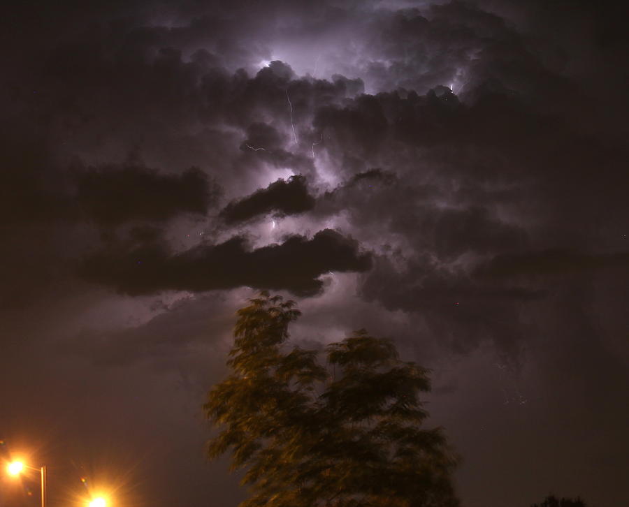 Electrical Storm #1 Photograph by Trent Mallett