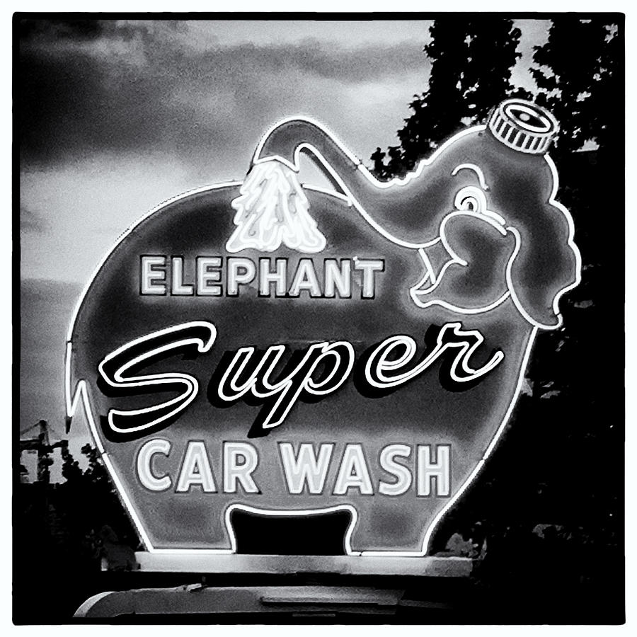 Elephant Car Wash Photograph