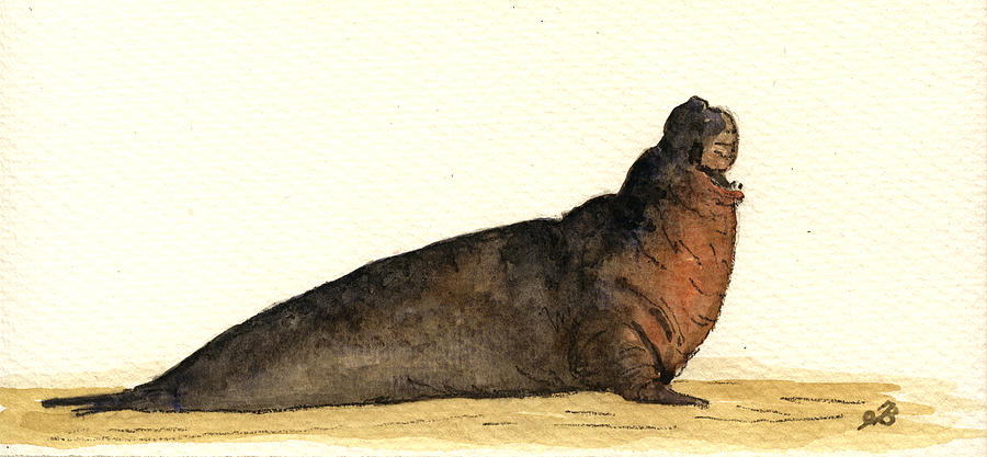 Wildlife Painting - Elephant seal #1 by Juan  Bosco