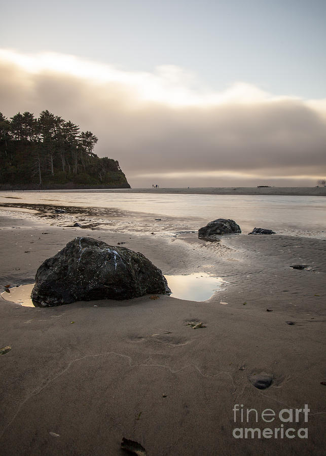 Beach Photograph - Solitude by Margaret Hood
