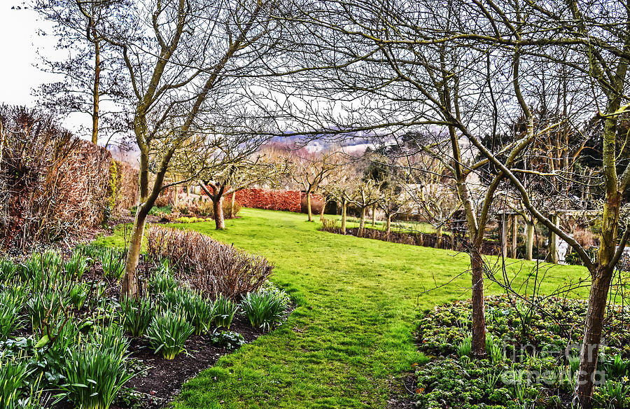 English Garden #1 Photograph by Elvis Vaughn