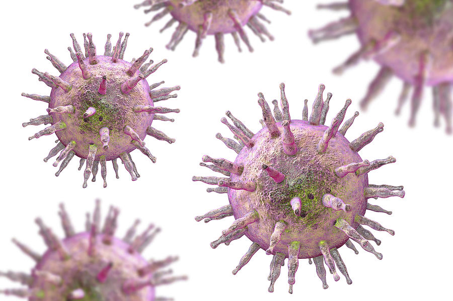 Epstein-barr Virus #1 Photograph by Kateryna Kon/science Photo Library