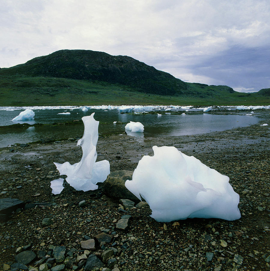 Eroded Icebergs In A Fjord #1 Photograph by Simon Fraser/science Photo Library