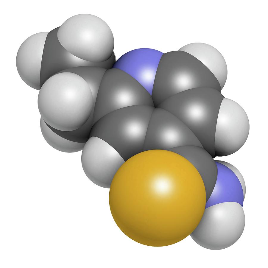 Ivermectin 12 mg tablet south africa